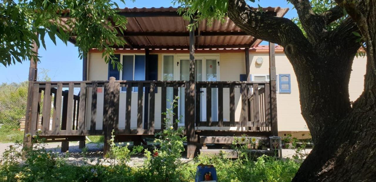 The Farm Tiny House - Tiny Casa Hotel Chiclana de la Frontera Kültér fotó