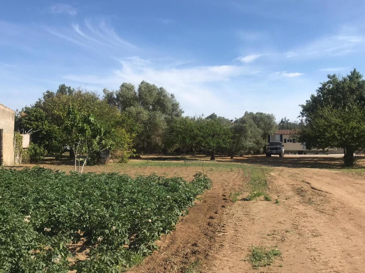 The Farm Tiny House - Tiny Casa Hotel Chiclana de la Frontera Kültér fotó