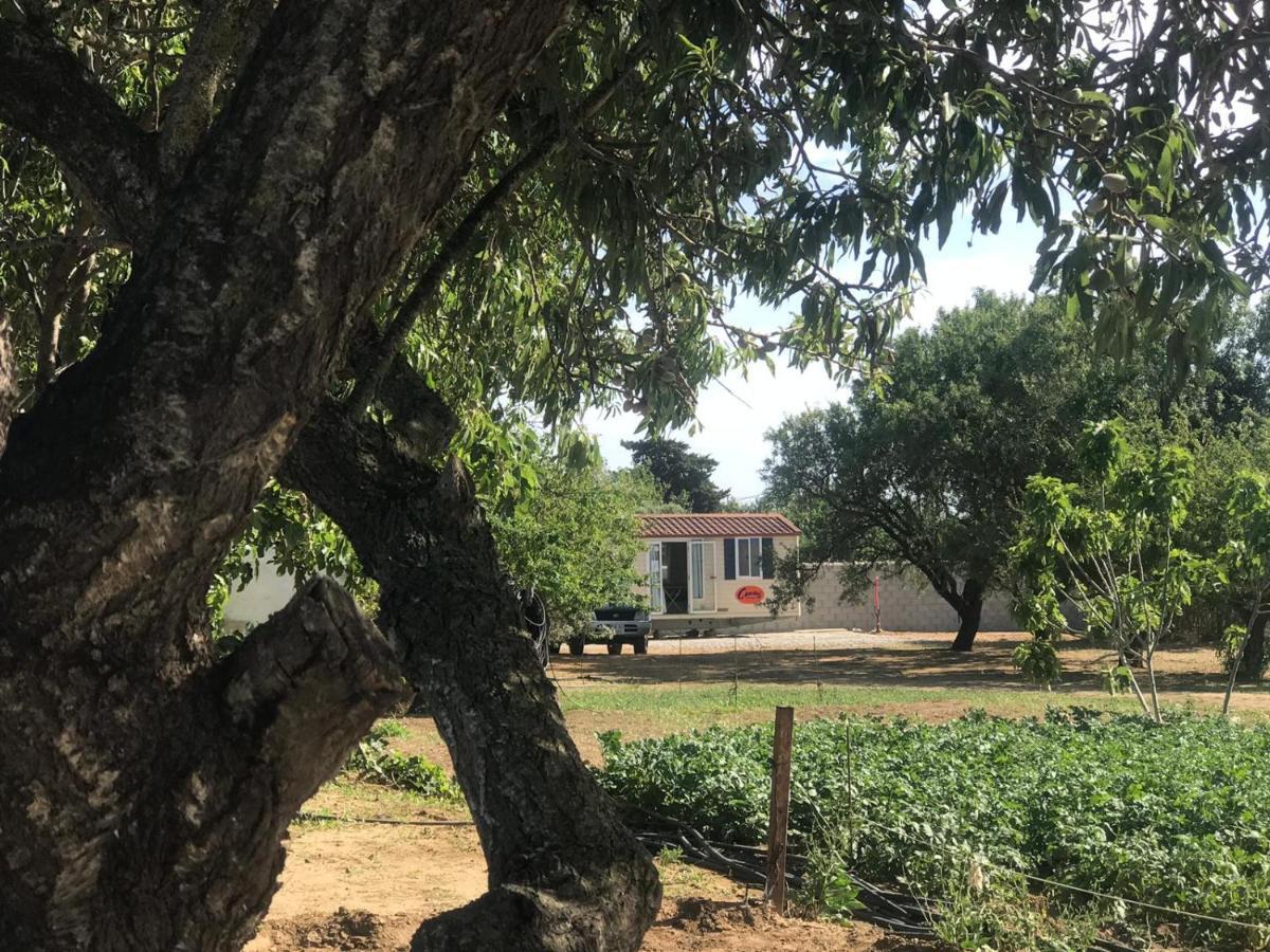 The Farm Tiny House - Tiny Casa Hotel Chiclana de la Frontera Kültér fotó